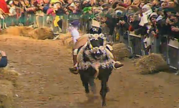 Valentina Uda tinge di rosa la Sartiglia dei falegnami