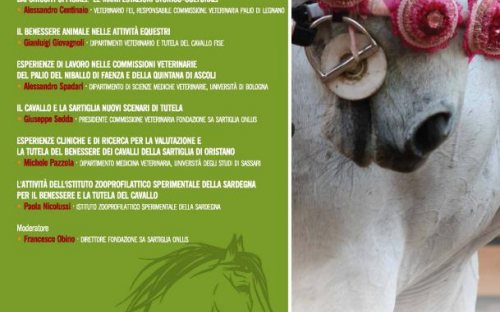 locandina convegno tutela e benessere cavallo