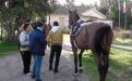 visite veterinarie 3