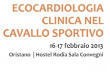 Ecocardiologia clinica nel cavallo sportivo - Il 16 e 17 Febbraio un convegno a Oristano