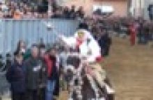 Sartiglia - 24 stelle e tanto spettacolo per il Gremio di San Giovanni