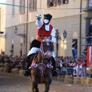 foto cavallo Sartiglia 02