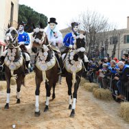 Miglior Pariglia Cavalli Anglo Arabo Sardi 2017