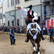 5ª stella domenica 15 febbraio 2015 - Fabrizio Pomogranato