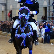 15ª stella Sartiglia martedì 17 febbraio 2015 - Gianluca Russo_ Stella d'oro