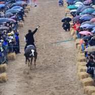 16ª stella domenica 15 febbraio 2015 - Danilo Casula