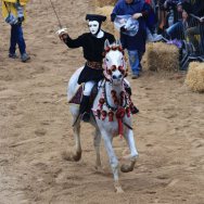 17ª stella domenica 15 febbraio 2015 - Salvatore Montixi