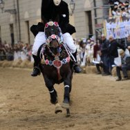 Raimondo Carta