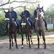 Miglior Pariglia Cavalli di razza Anglo-Arabo-Sardi e derivati Pier Vidoc, maschio baio di anni 8, Figlio di Vidoc III e Fiarola; Raja, femmina baia di anni 6, figlia di Gratianus e Mitica; Reinos, maschio baio di anni 6, figlio di S’Archittu e Misteriosa Maia