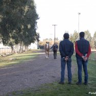 Visite veterinarie 2016