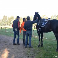 Visite veterinarie 2016