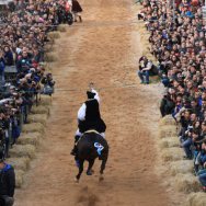 Corsa alla stella - Sartiglia Gremio di San Giuseppe_martedì 28 febbraio 2017