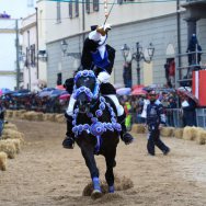 Miglior Cavallo Anglo Arabo Sardo  Quarnero Step, castrone baio di 6 anni , figlio di Vidoc III e Un Orchidea. Montato dal Cavaliere Andrea Solinas.