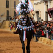 Miglior Cavallo di razza Anglo-Arabo-Sardo e derivati Quarnero Step, castrone baio di anni 7, figlio di Vidoc III e Un Orchidea (da Nessi Tue). Montato dal Cavaliere Alessio Garau 