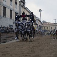 Corsa delle pariglie - Sartiglia Gremio di San Giuseppe_martedì 28 febbraio 2017