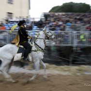 Corsa alla stella - Sartiglia Gremio di San Giuseppe_martedì 28 febbraio 2017