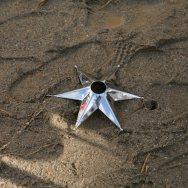 Corsa alle stella - 15