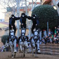 Corsa delle pariglie