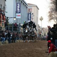 Corsa delle pariglie