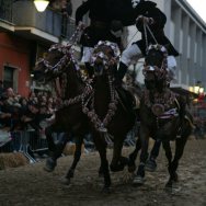 Corsa delle pariglie