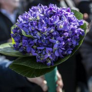 Convegno "Sa pippia de maju – Etnografia e nuove ipotesi di ricerca"