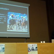 Immagine Convegno La ricerca scientifica sul cavallo della Sartiglia di Oristano..